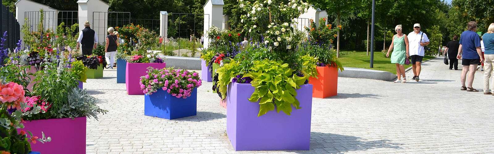 Bunte Blumenpracht auf der Landesgartenschau Prenzlau,
        
    

        Foto: TMB-Fotoarchiv/Matthias Schäfer