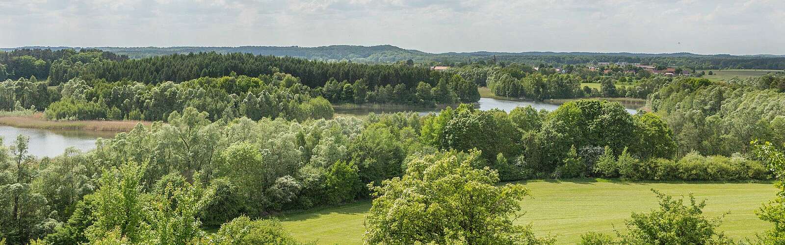 Schorfheide bei Brodowin,
        
    

        Foto: TMB-Fotoarchiv/Steffen Lehmann