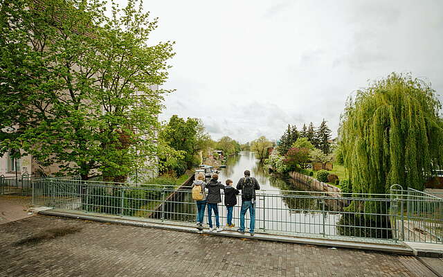 Blick über die Havel