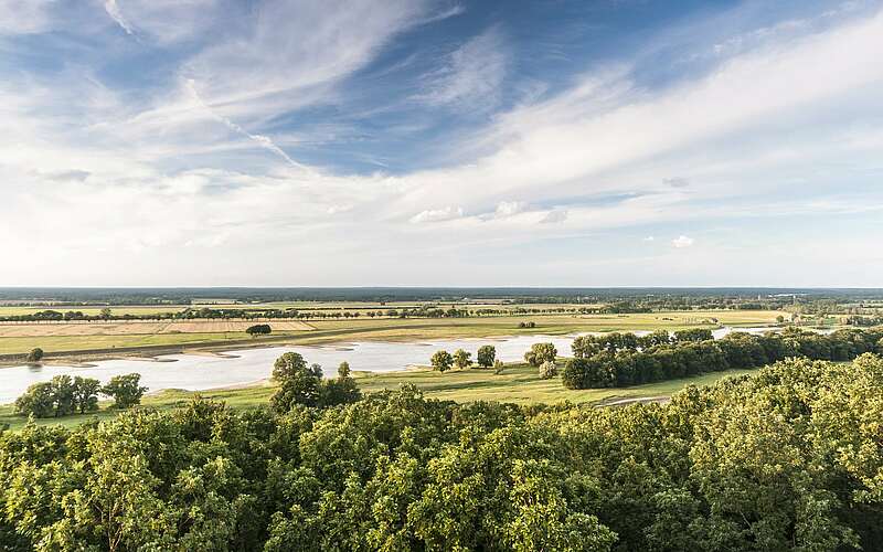 



        
            Blick über die Elbtalaue,
        
    

        Foto: TMB-Fotoarchiv/Dieter Damschen
    