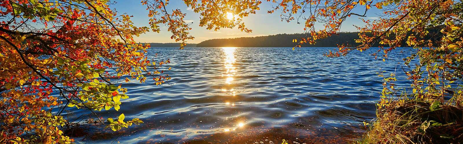 Herbstmoment am Stechlinsee,
        
    

        Foto: TMB-Fotoarchiv/Frank Liebke