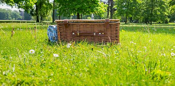 Picknickkoffer im Park