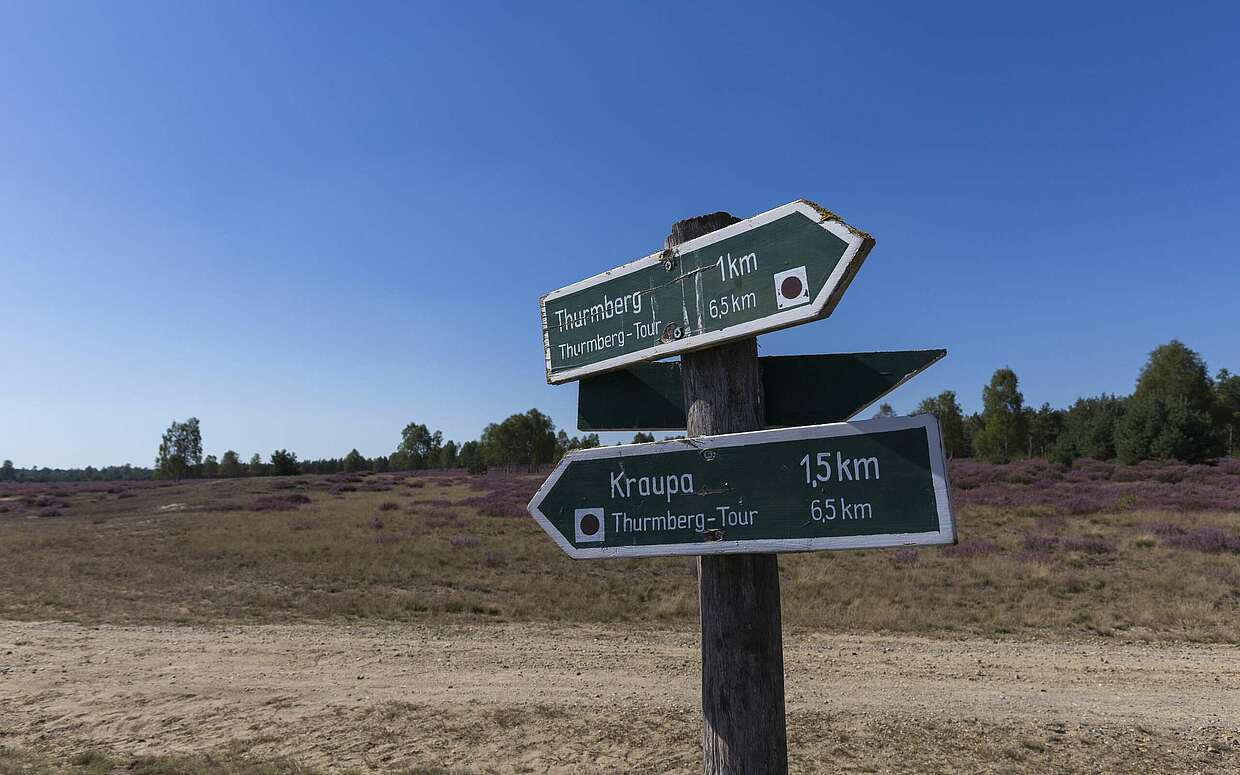 Wegweiser im Naturschutzgebiet "Forsthaus Prösa"