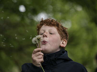 Junge mit Pusteblume