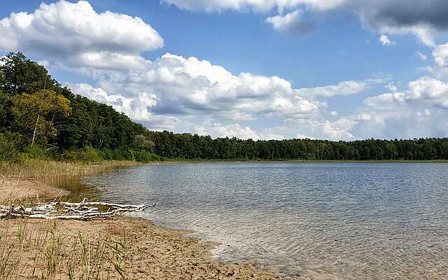 Wanderung auf dem Jakobsweg