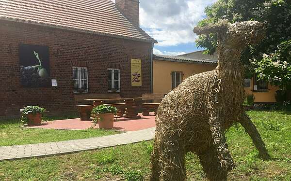 Ludwig-Leichhardt-Museum