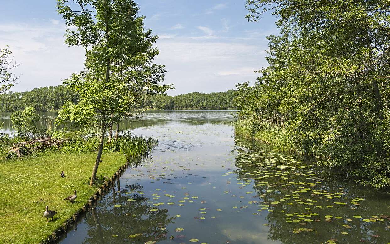 Stadtsee Lychen