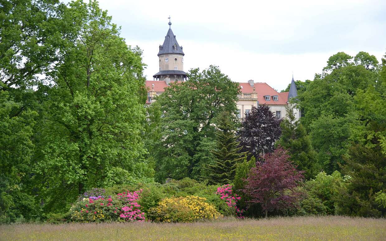 Blick vom Schloss auf den terrassenförmig angelegten Schlosspark Wiesenburg.