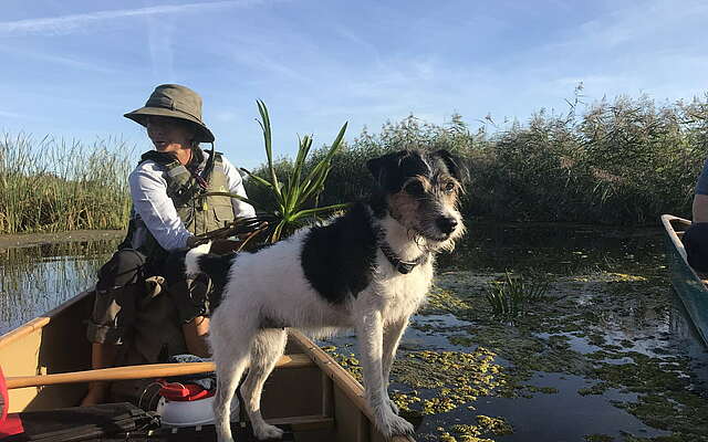 Kanutour mit Hund