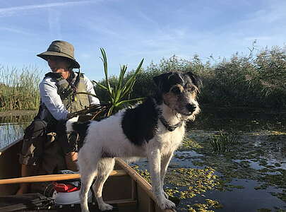 Kanutour mit Hund