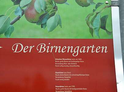 Birnengarten Ribbeck