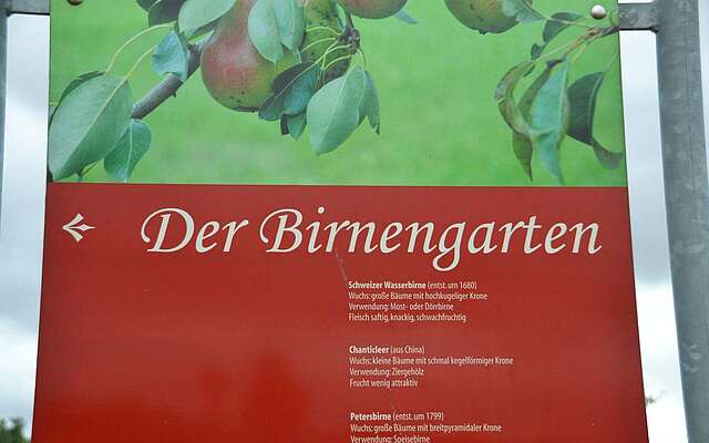 Birnengarten Ribbeck