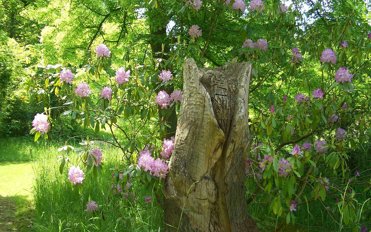 Blühender Rhododendron hinter einer Skulptur aus Holz