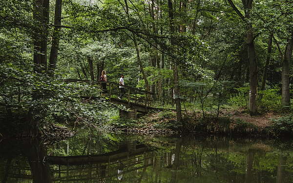 Wanderung am Hegensteinbach Fürstenberg/Havel