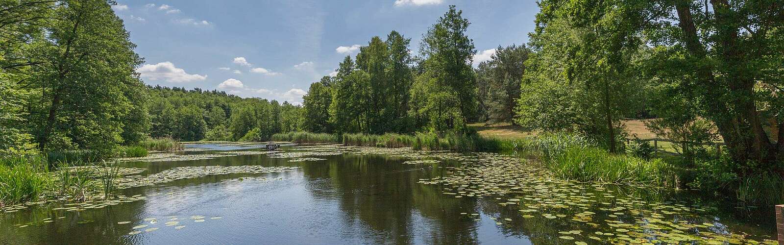 Schlaube nahe Ragower Mühle,
        
    

        Foto: TMB-Fotoarchiv/Steffen Lehmann