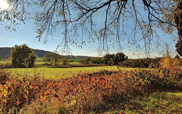 Herbstlicher Weitblick