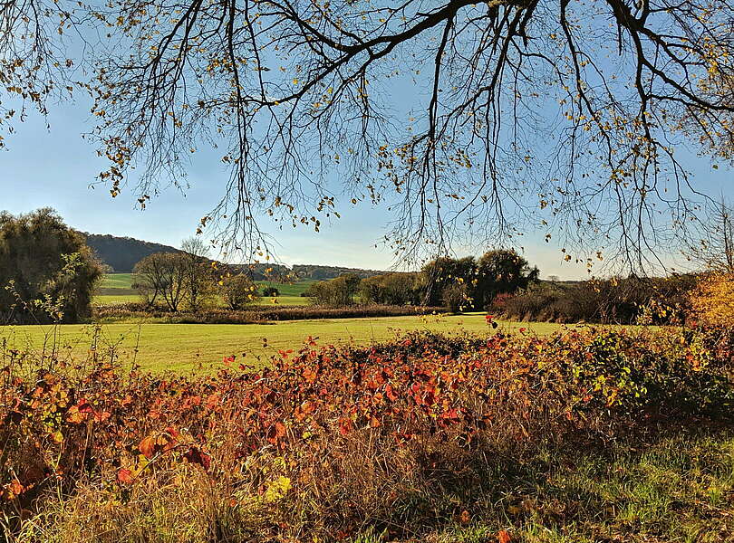 Herbstlicher Weitblick