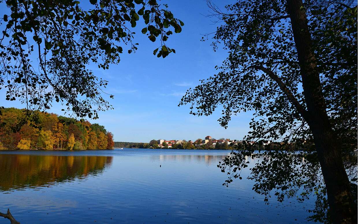 Der 66-Seen-Wanderweg führt auch vorbei am Straussee bei Strausberg.