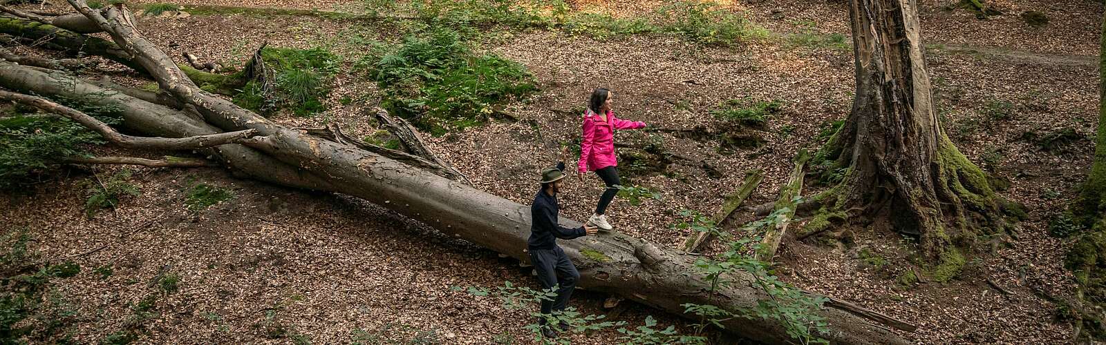 Wanderer am Binenbach,
        
    

        Foto: TMB-Fotoarchiv/Steffen Lehmann