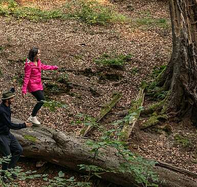 Wandern im Herbst quer durch Brandenburg