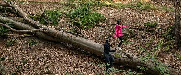 Wandern im Herbst quer durch Brandenburg