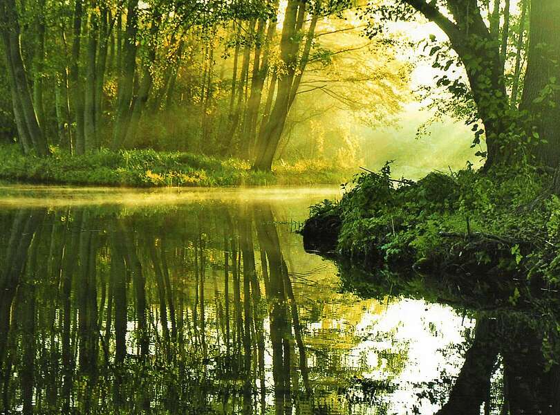 Sonnenaufgang im Biosphärenreservat Spreewald