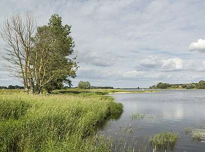 Elbe bei Lenzen