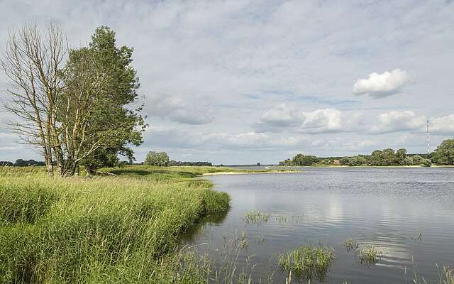 Elbe bei Lenzen