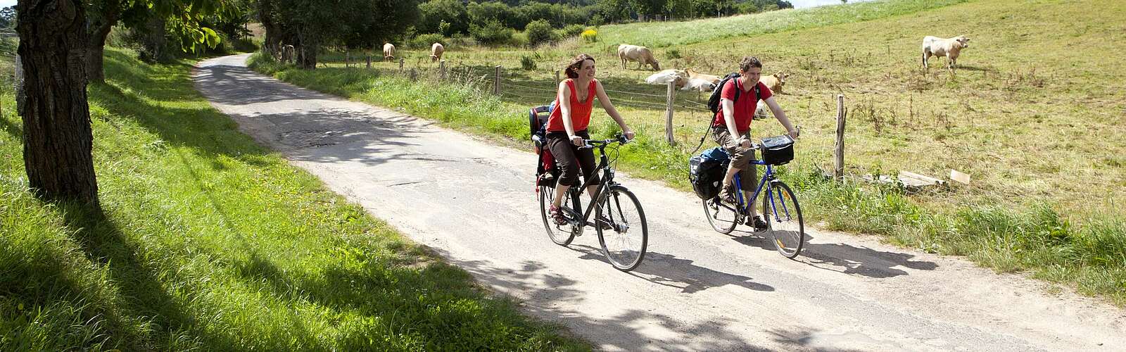 Radfahrer unterwegs,
        
    

        Foto: TMB-Fotoarchiv/TV Lychen/Paul Hahn