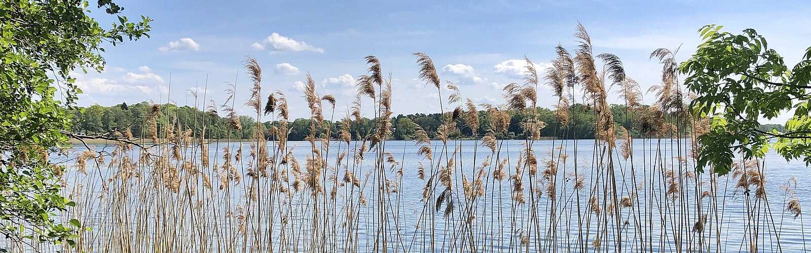 Der Ruppiner See,
        
    

        Foto: Tourismusverband Ruppiner Seenland e.V./Itta Olaj