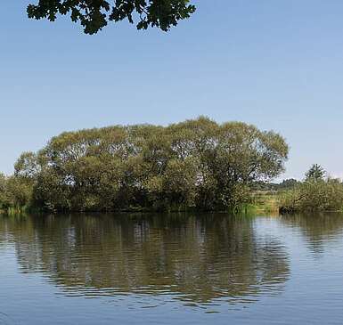 Flusslandschaft Untere Havelniederung