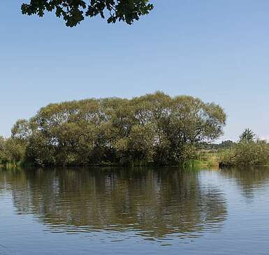 Flusslandschaft Untere Havelniederung