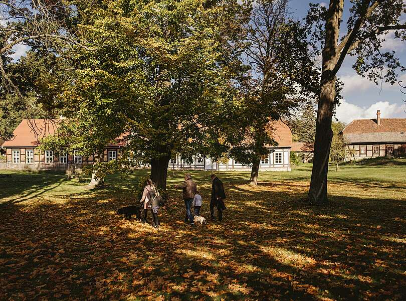 Spaziergang mit Hunden in Glashütte