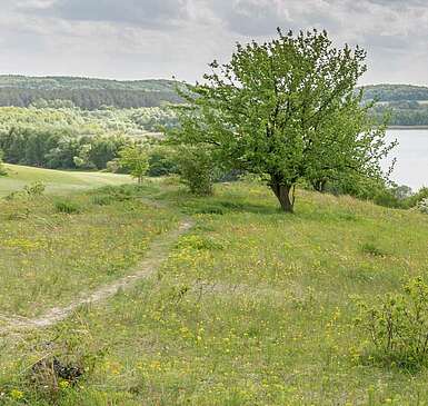 Sanfte Hügel, tiefe Wälder, klare Seen