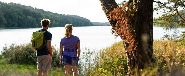 Der Weg führt zum Ziel