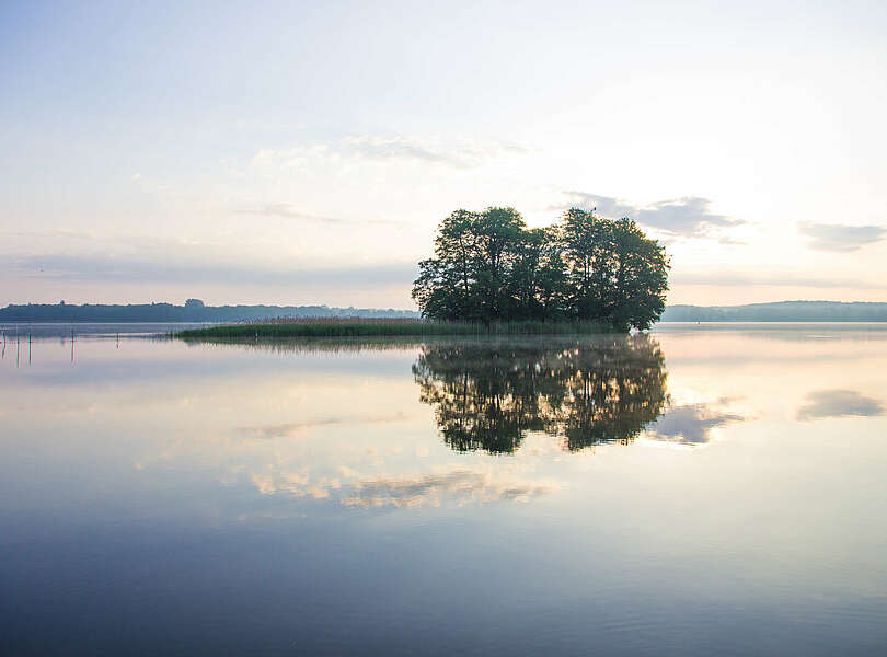 Insel auf dem See