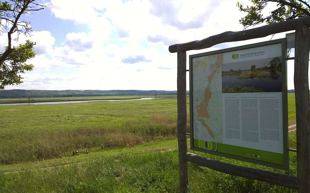 Lesestoff zum Nationalpark Unteres Odertal am Oder-Neiße-Radweg.