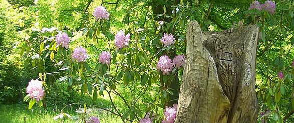 Der Forstbotanische Garten in Eberswalde