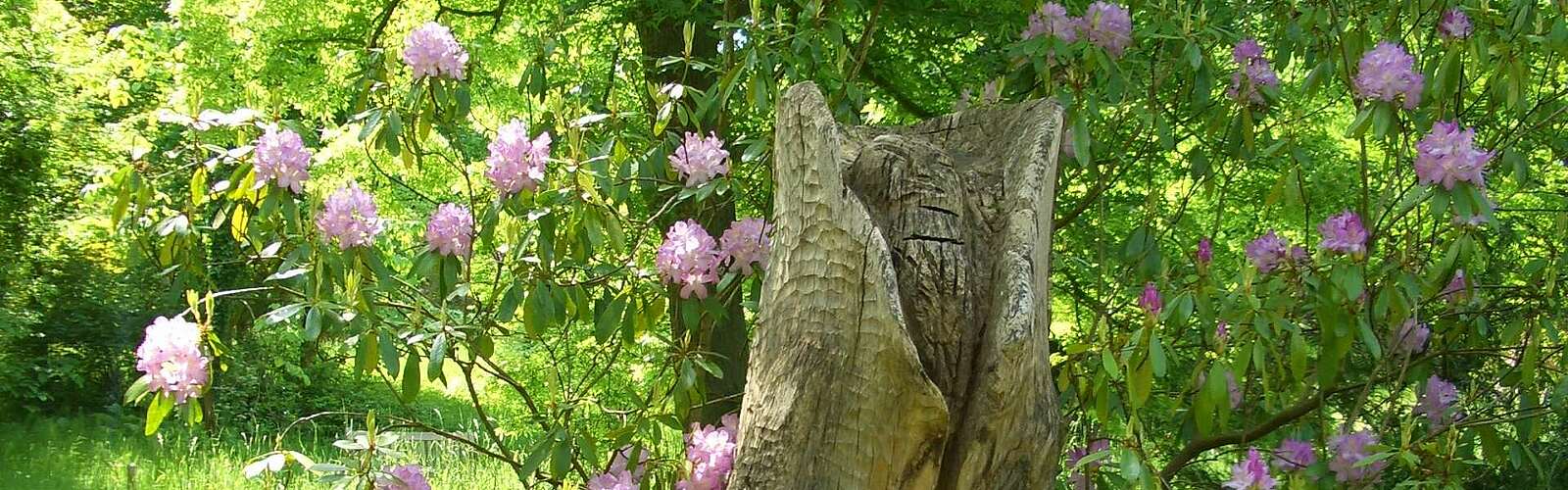 Holzskulptur,
        
    

        
        
            Foto: Anna Tkatsch