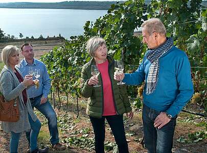 Weinbergführung auf den IBA Terrassen