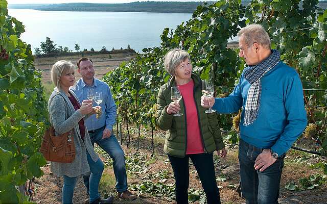 Weinbergführung auf den IBA Terrassen