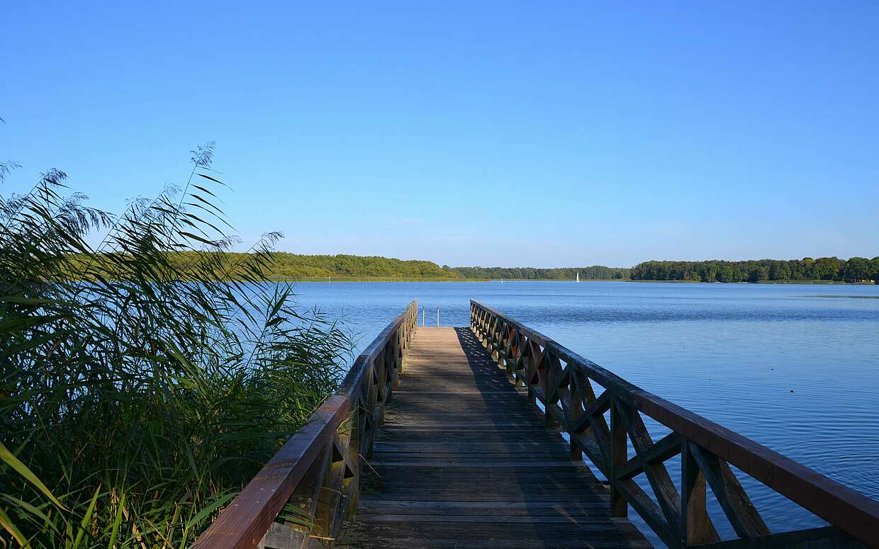 Sprung ins erfrischende Wasser: auf der Seebrücke am Wiesen- und Strandbad in Wustrau