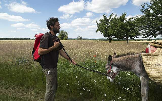 Eselwanderung im Fläming