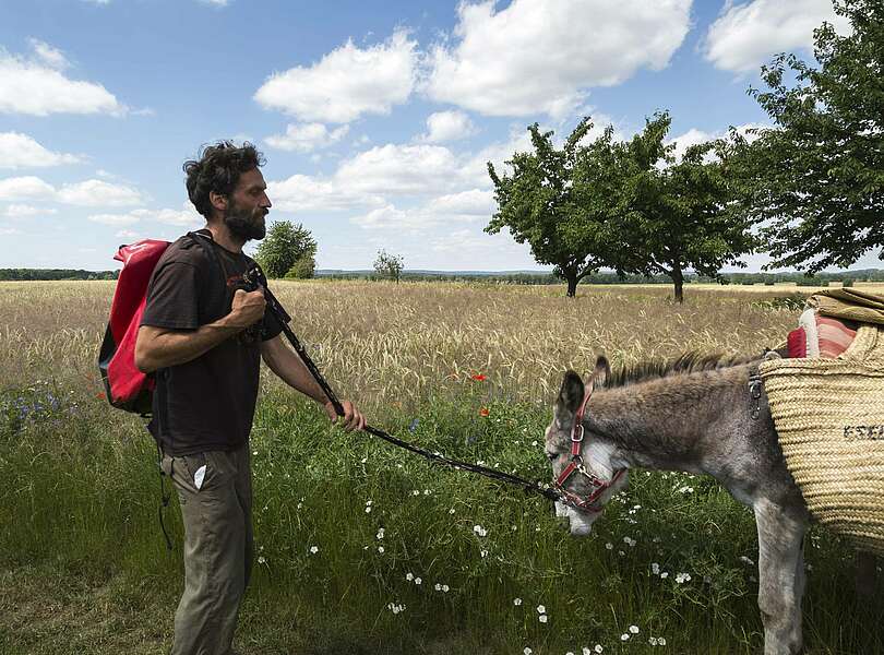 Eselwanderung im Fläming