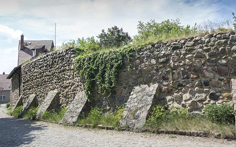 



        
            Stadtmauer von Lychen,
        
    

        Foto: TMB/Steffen Lehmann
    