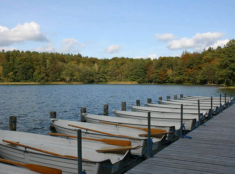 Der Stechlinsee bei Neuglobsow