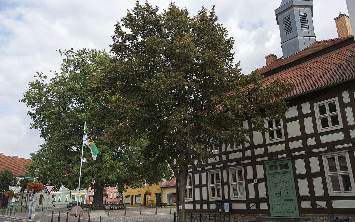 Marktplatz von Biesenthal