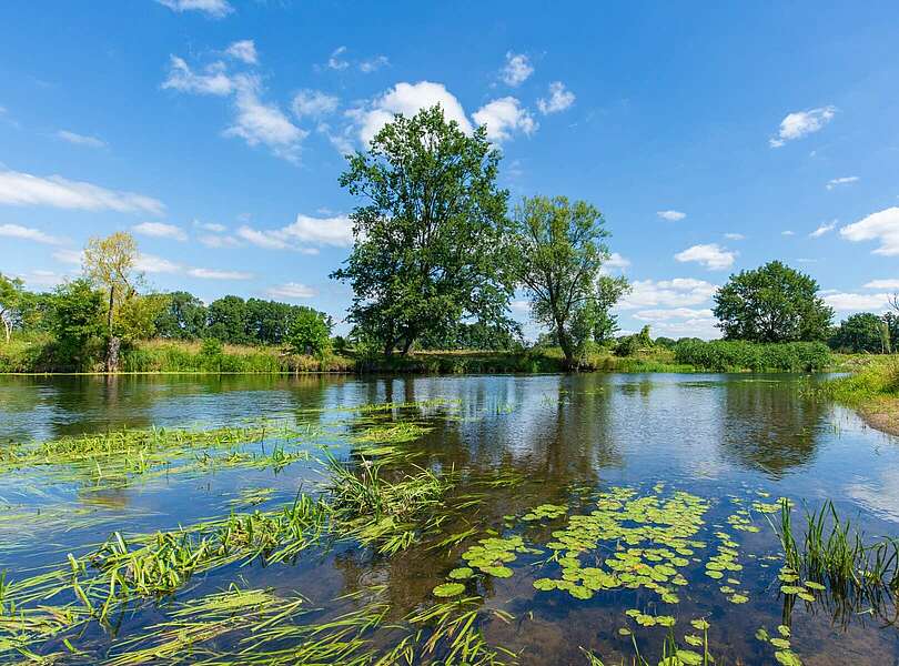 Müggelspree