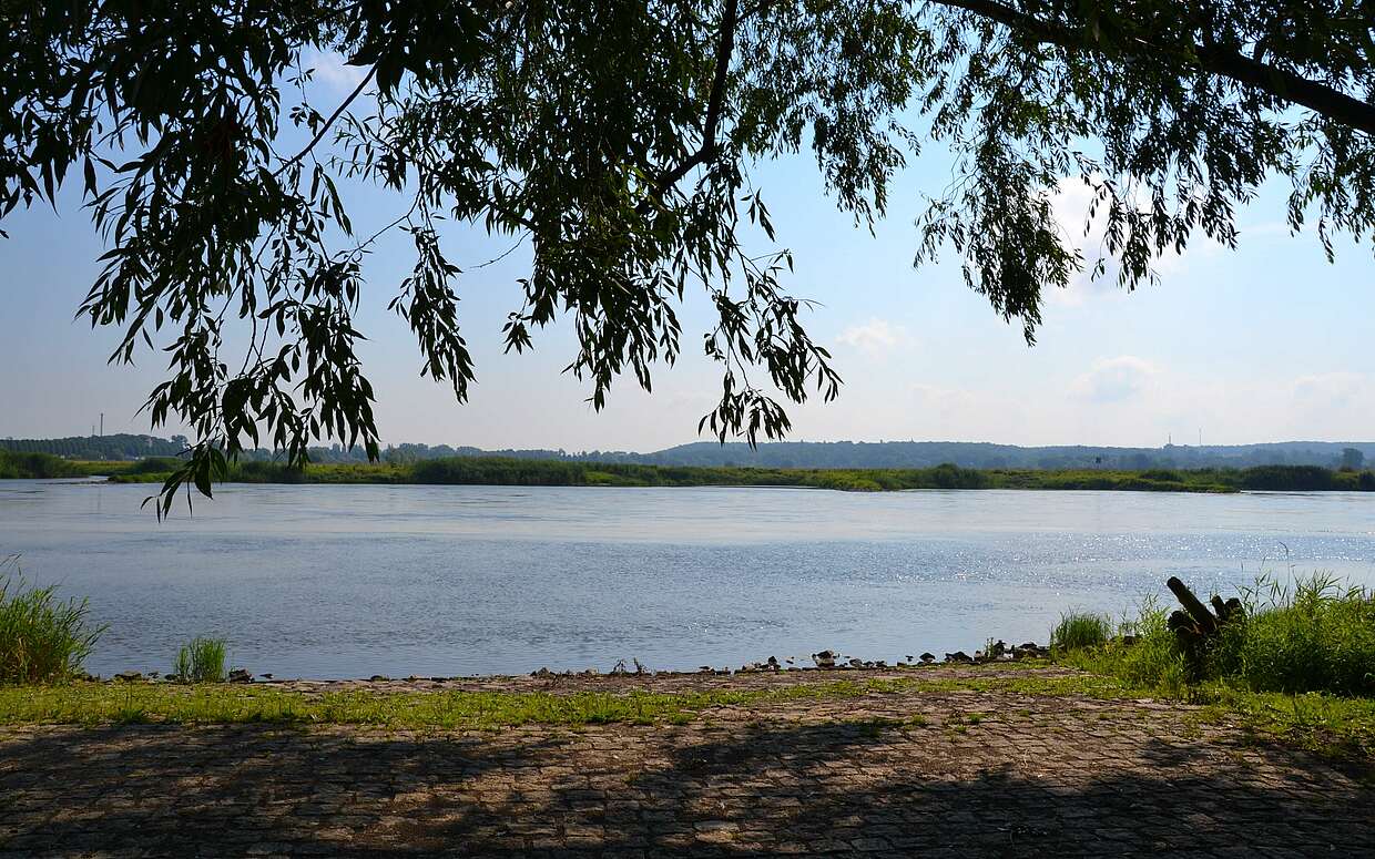 Oder Strand Frankfurt Oder