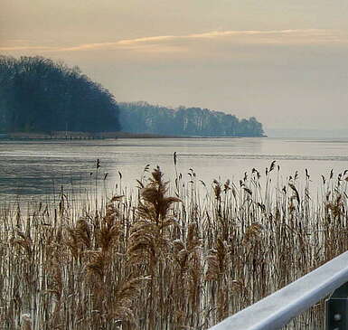 Bad Saarow